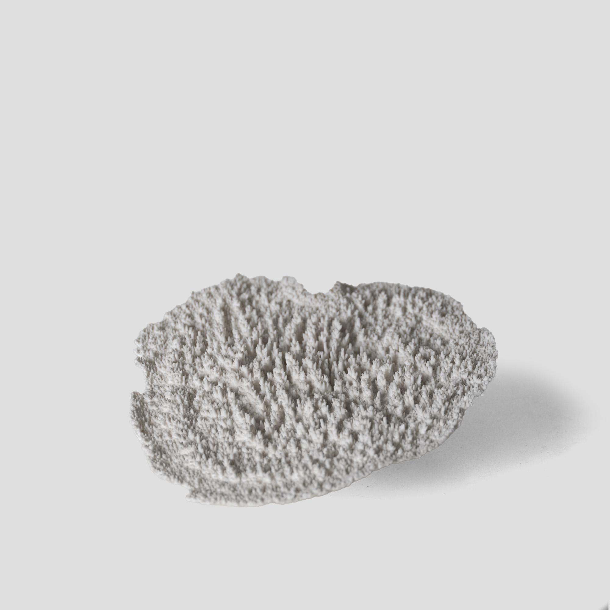 coral object