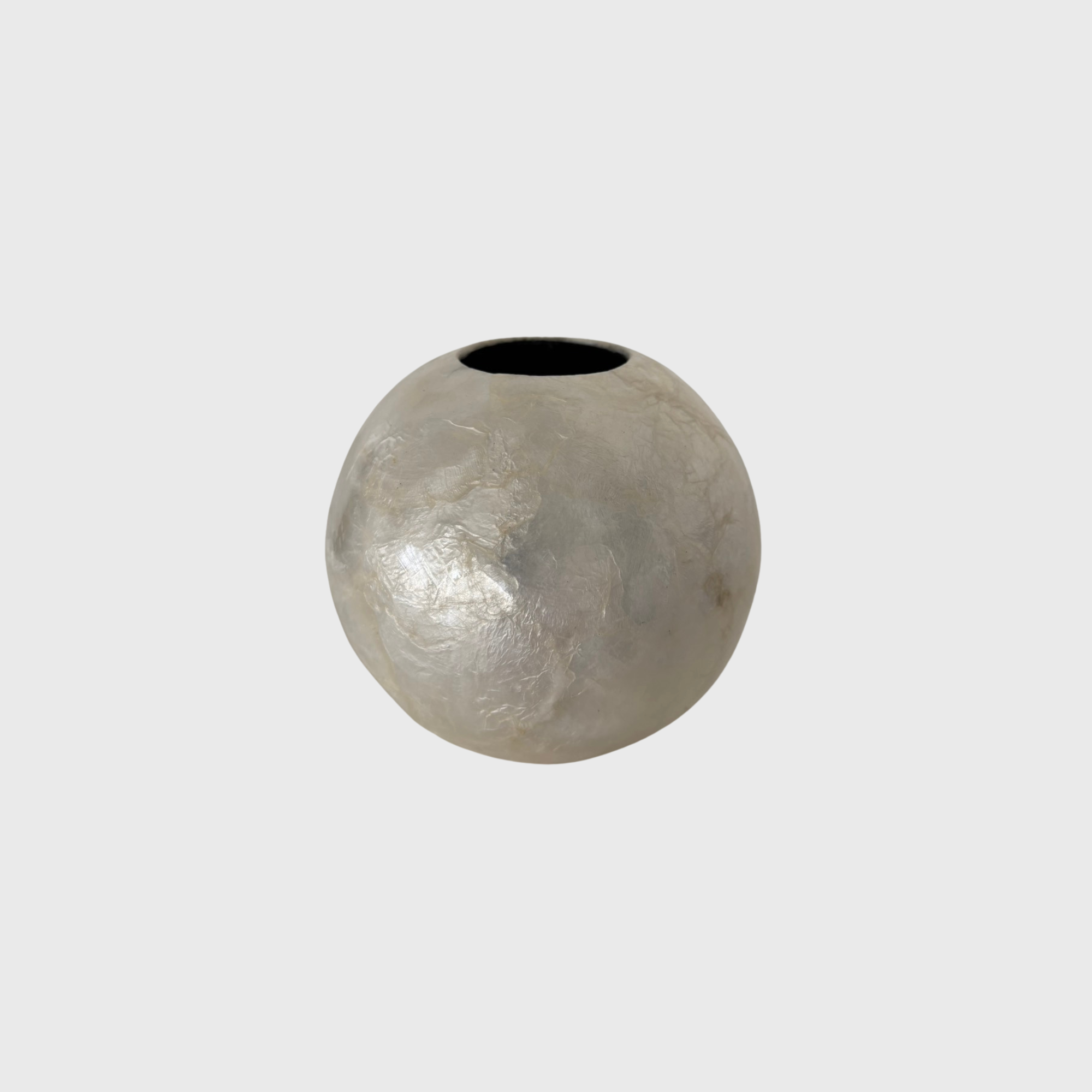 shell flower vase