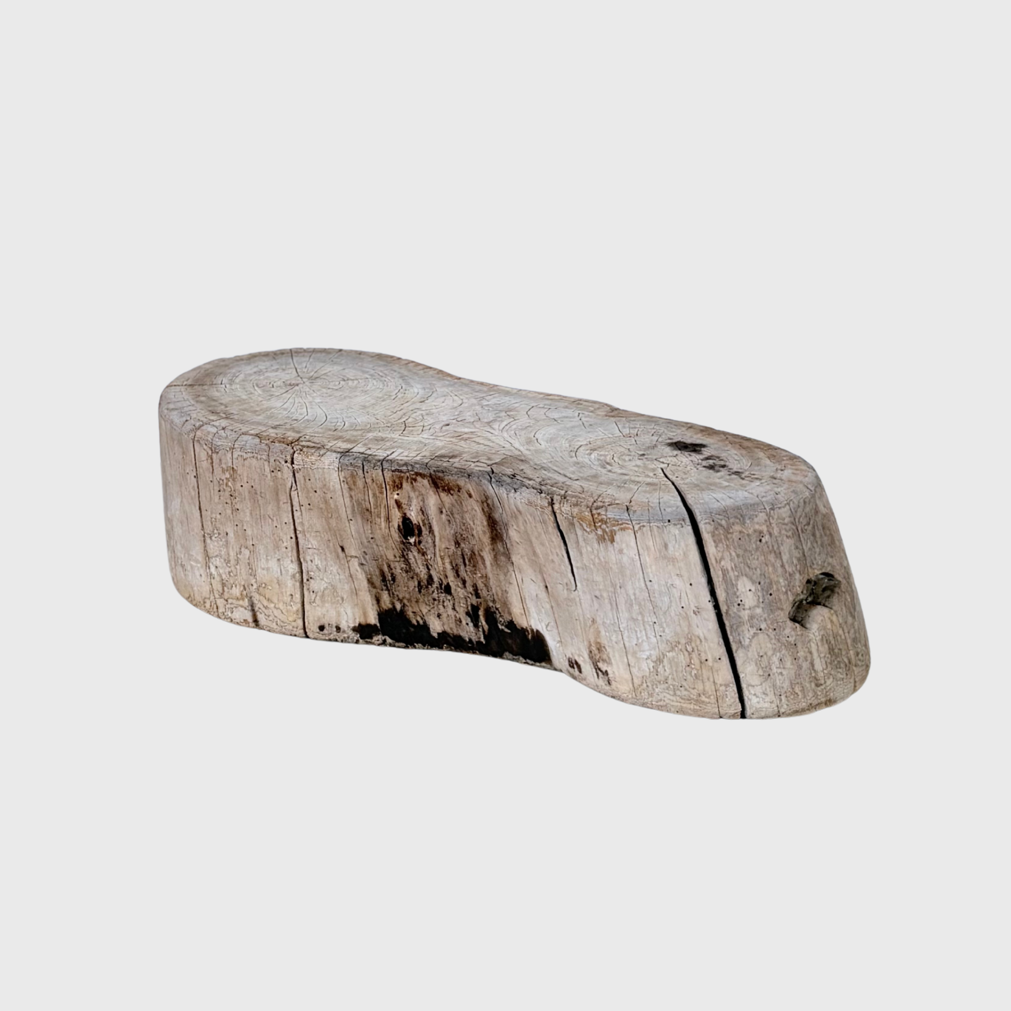 twin ring tree stump