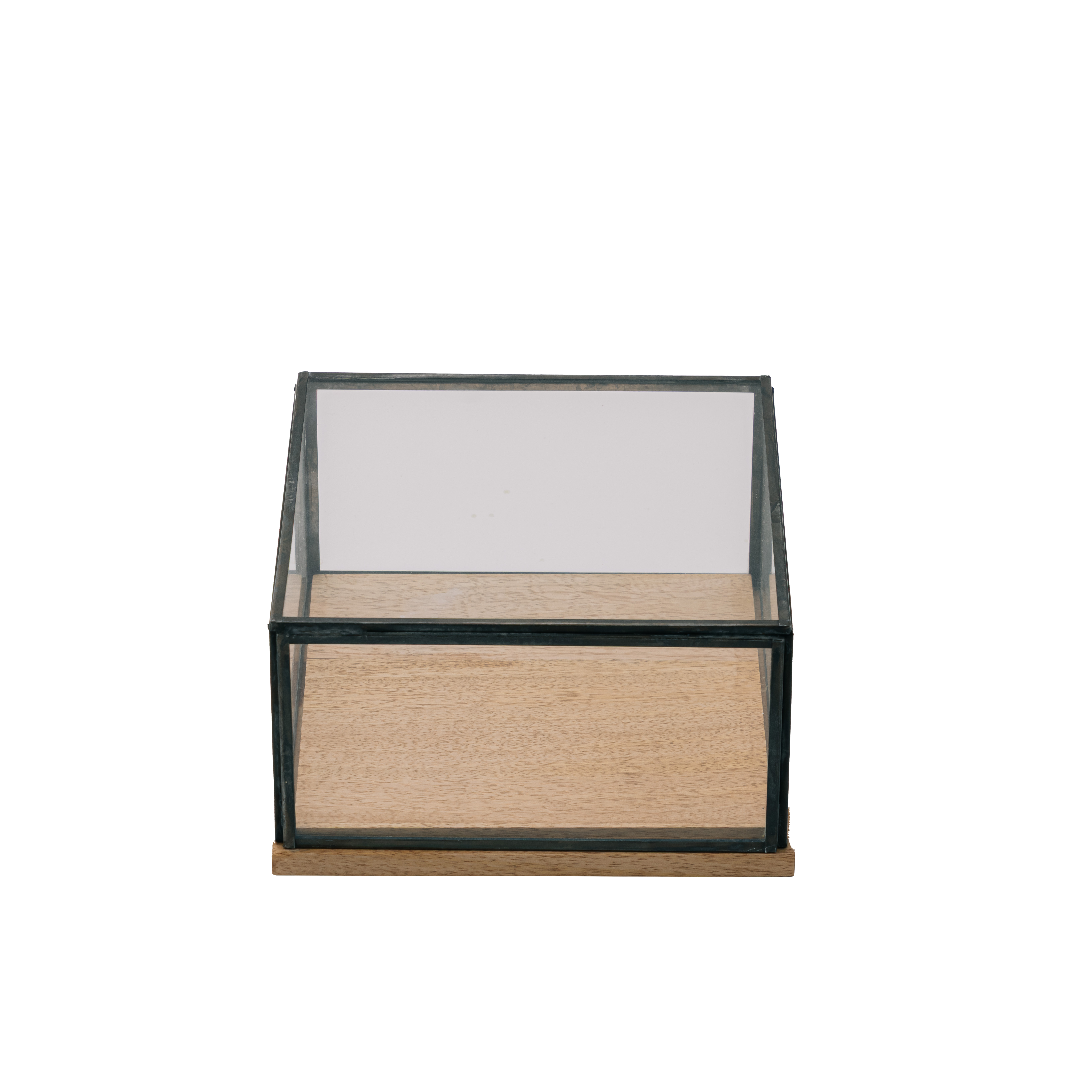 glass square display case / M
