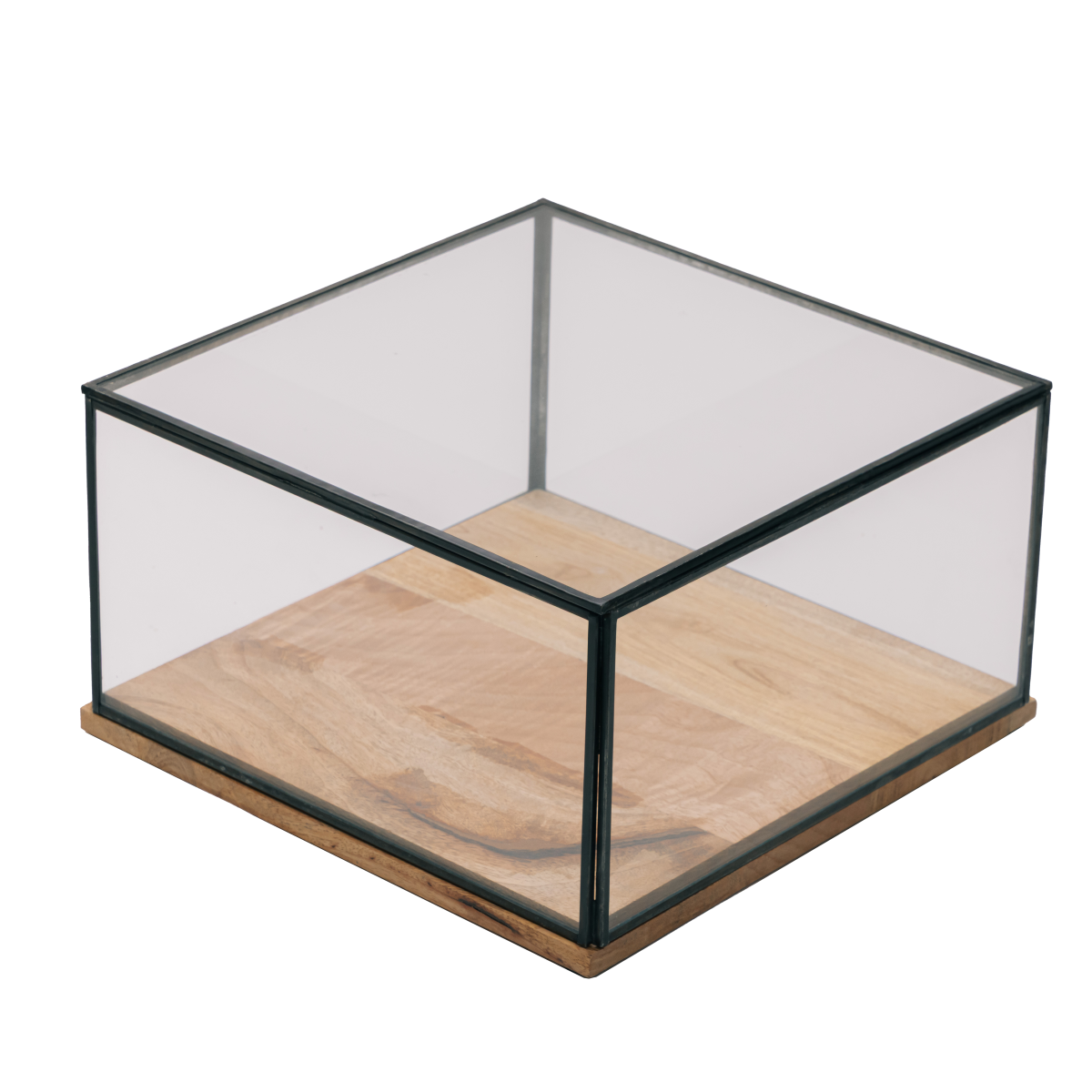 glass square display case L
