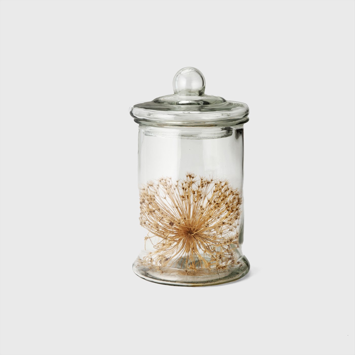 dry flower glass jar