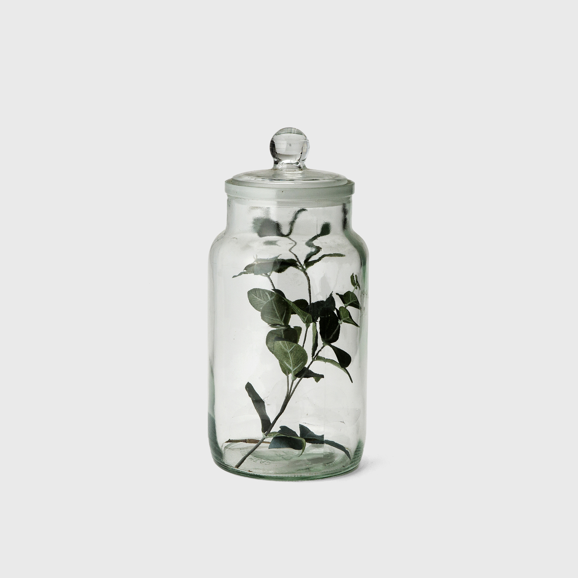 dry flower glass jar