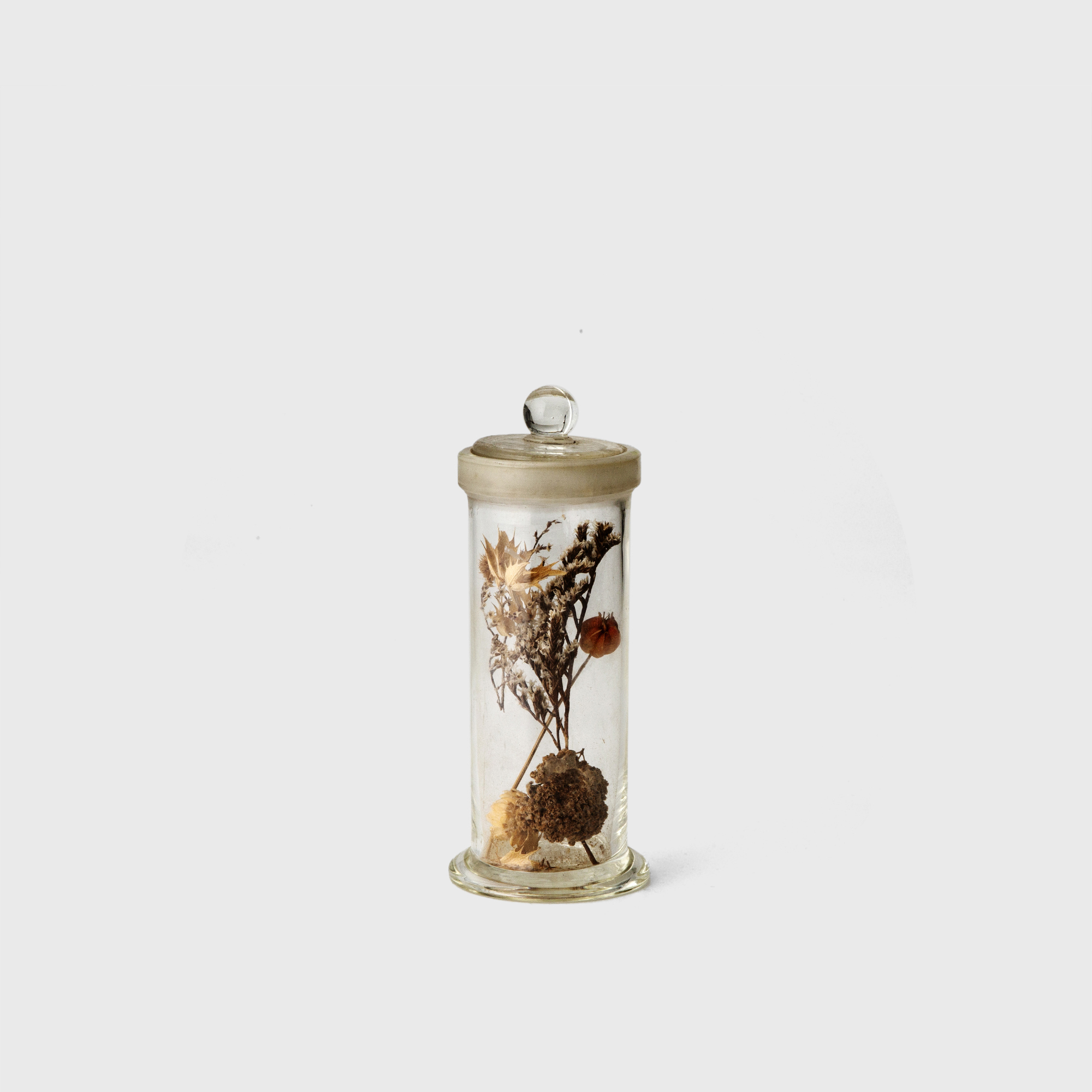 dry flower glass jar