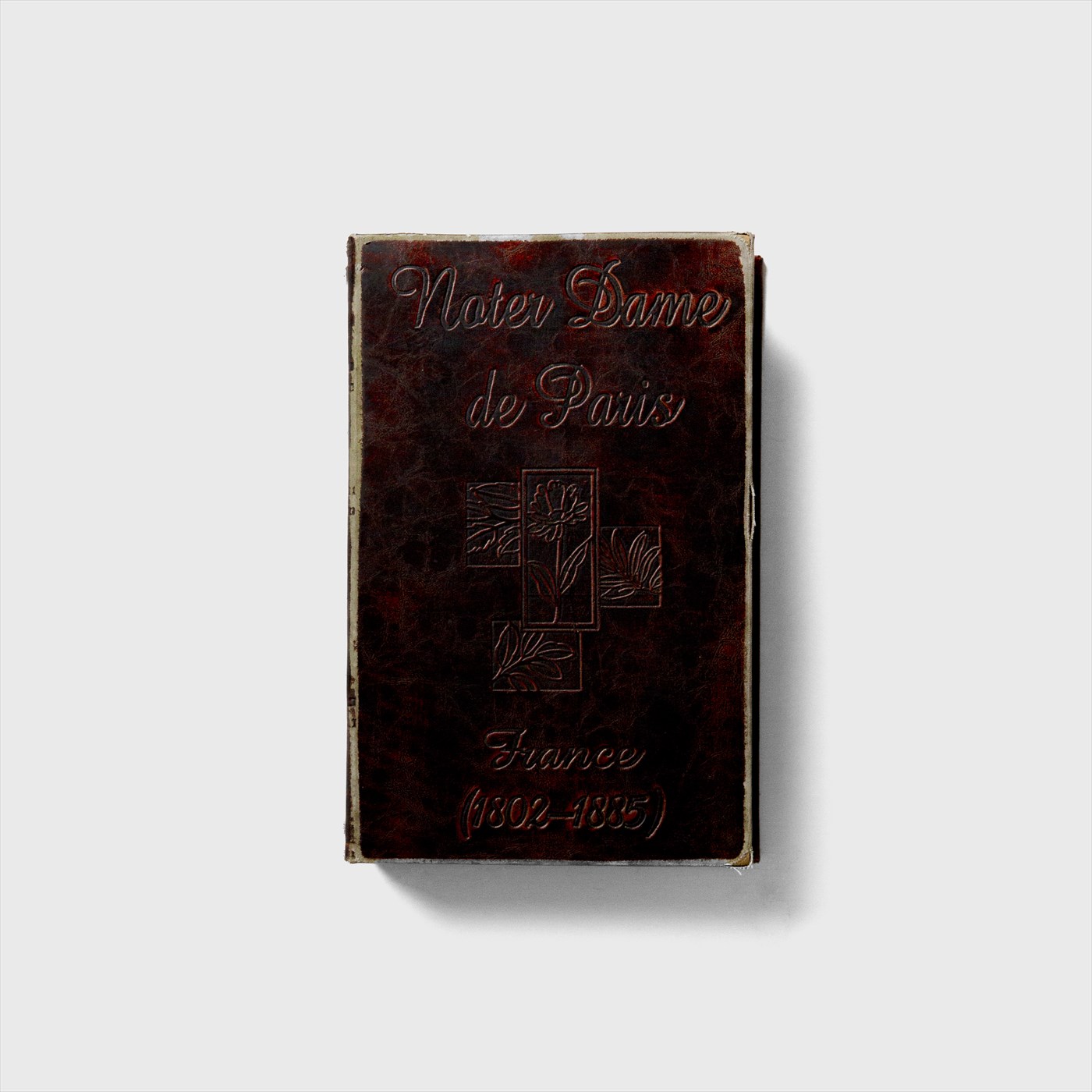 fake book
"Nater Dame de Paris"