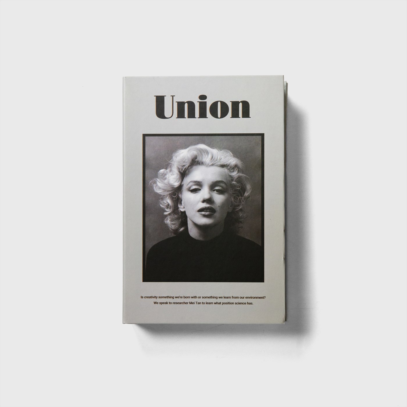 fake book
"Union"