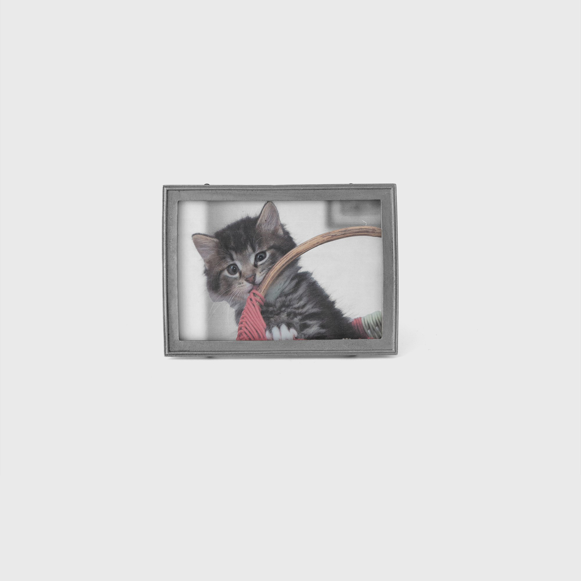 kitten photo frame