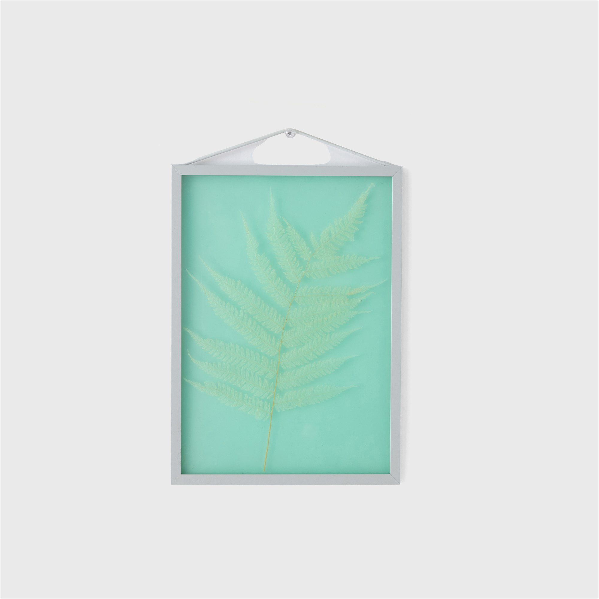 fern green leaf
wall hanging