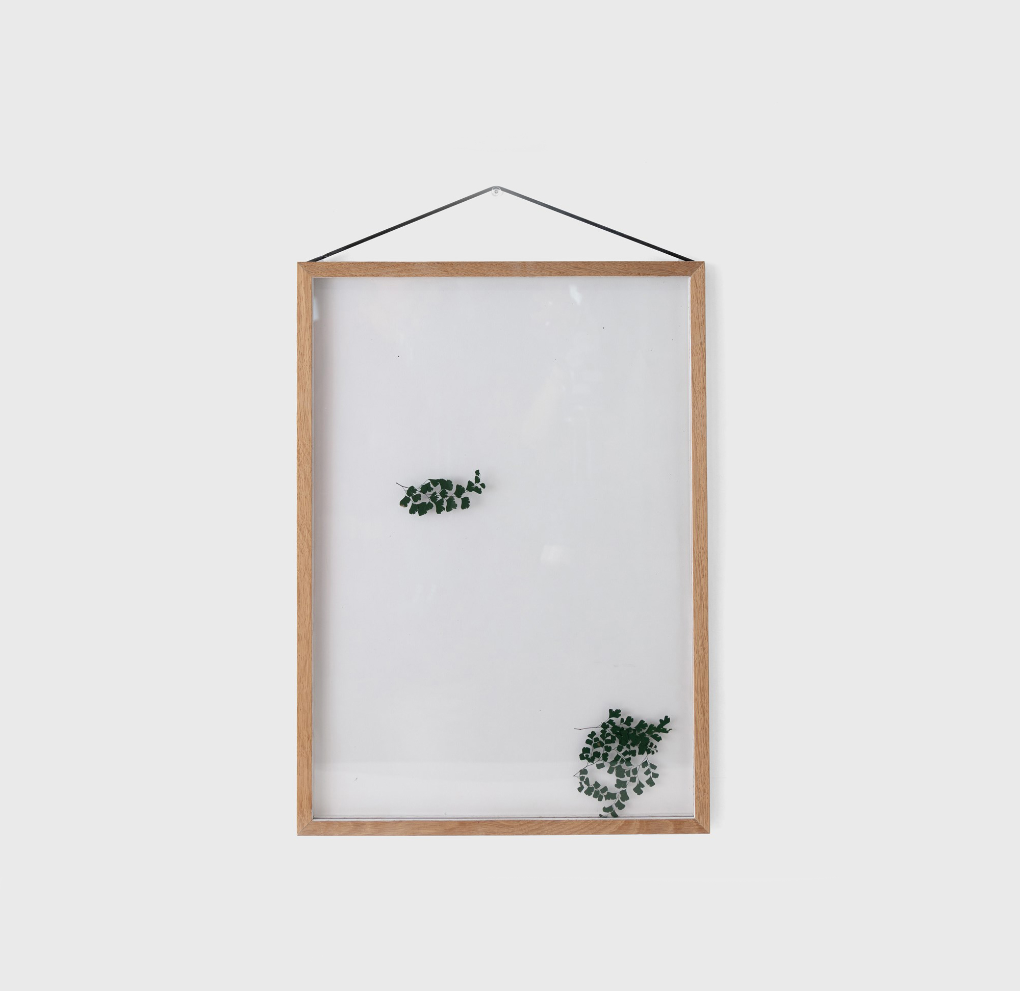 botanical wall art