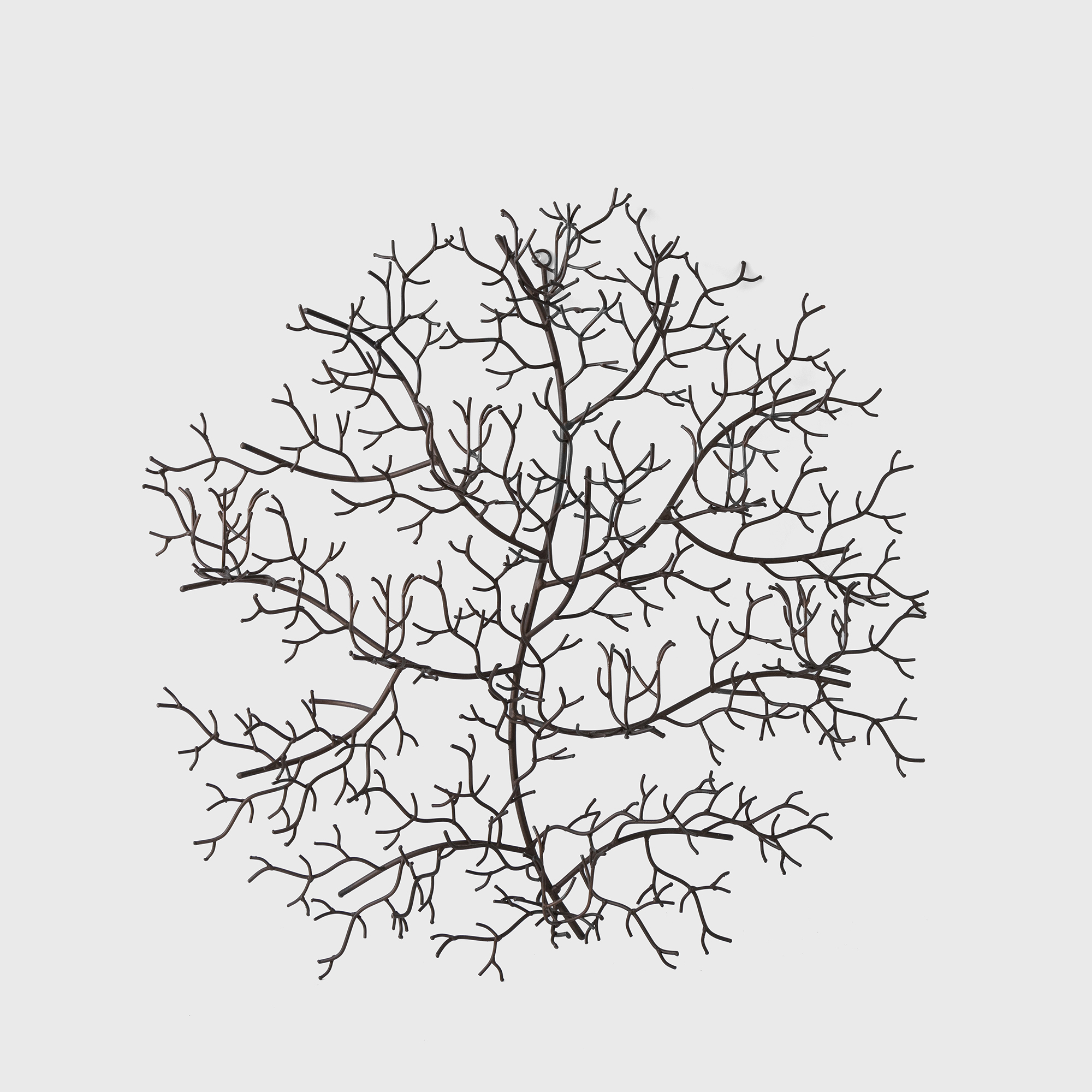 sea fan object