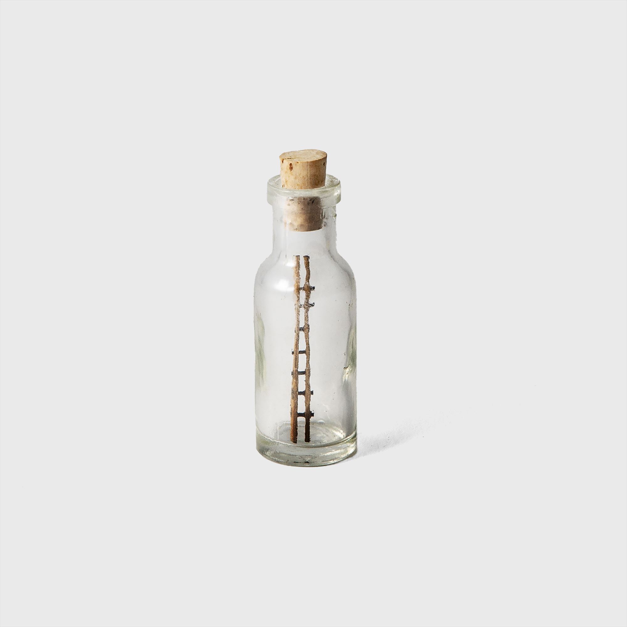 ladder in bottle object