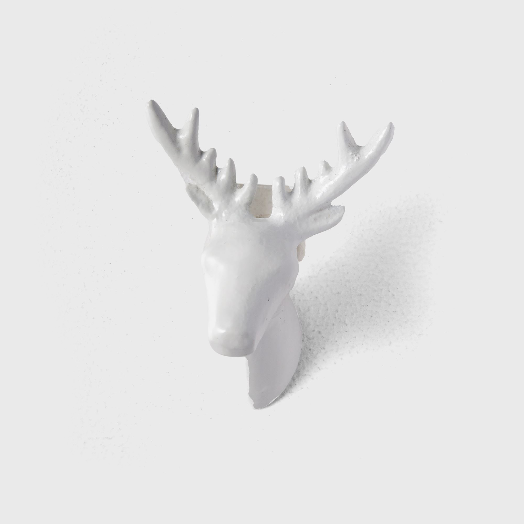 wall white hanging deer