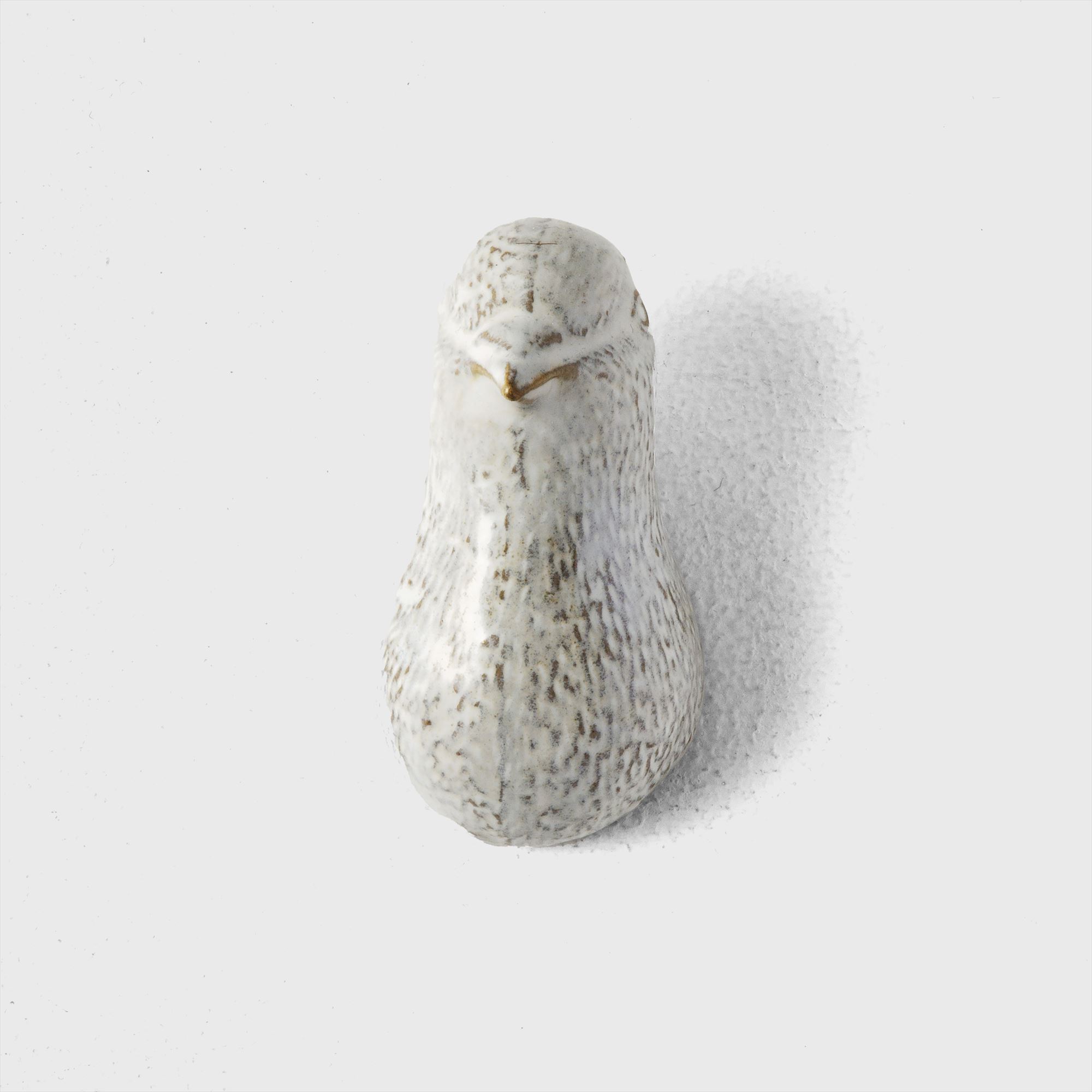 wall bird object