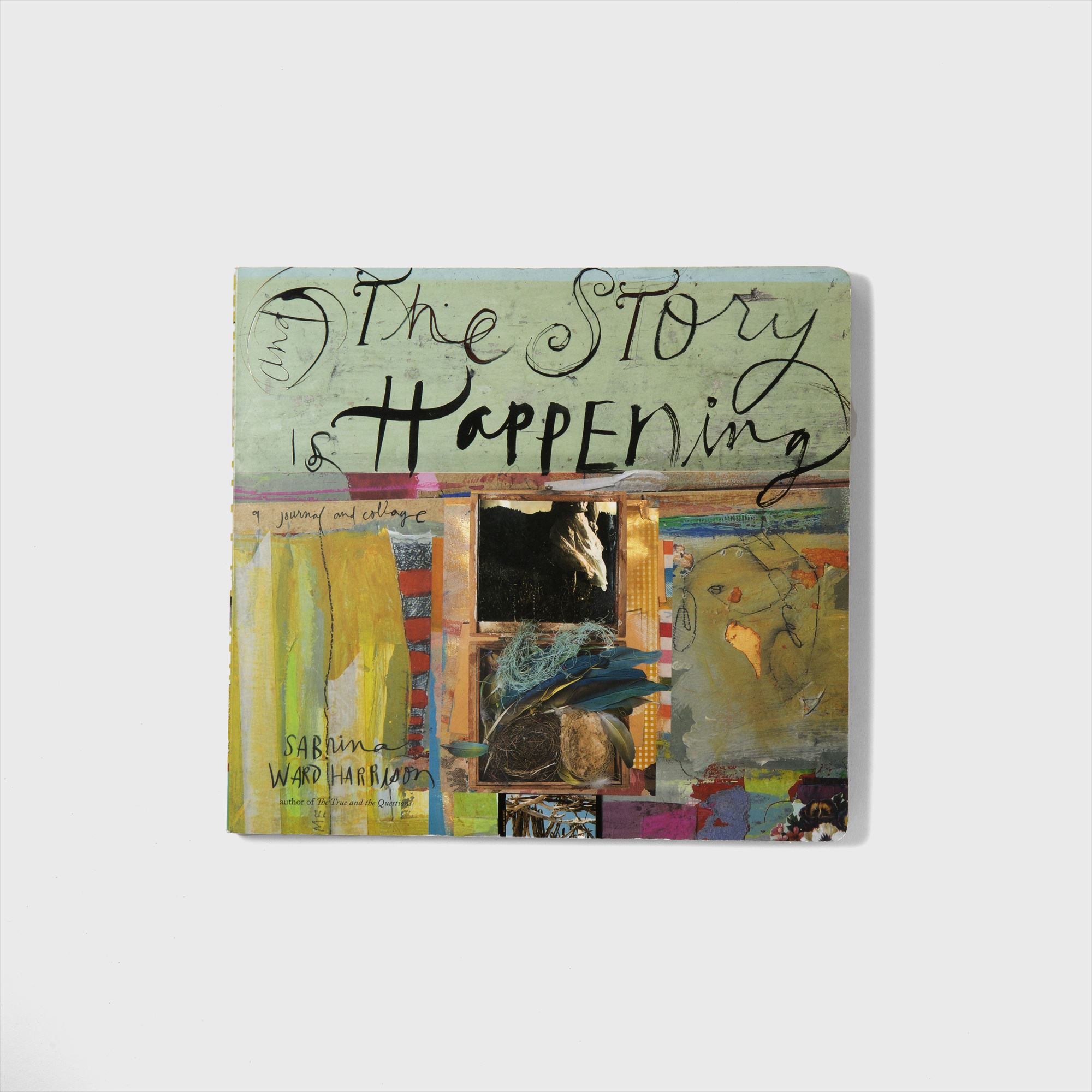 display book
"the story happening"