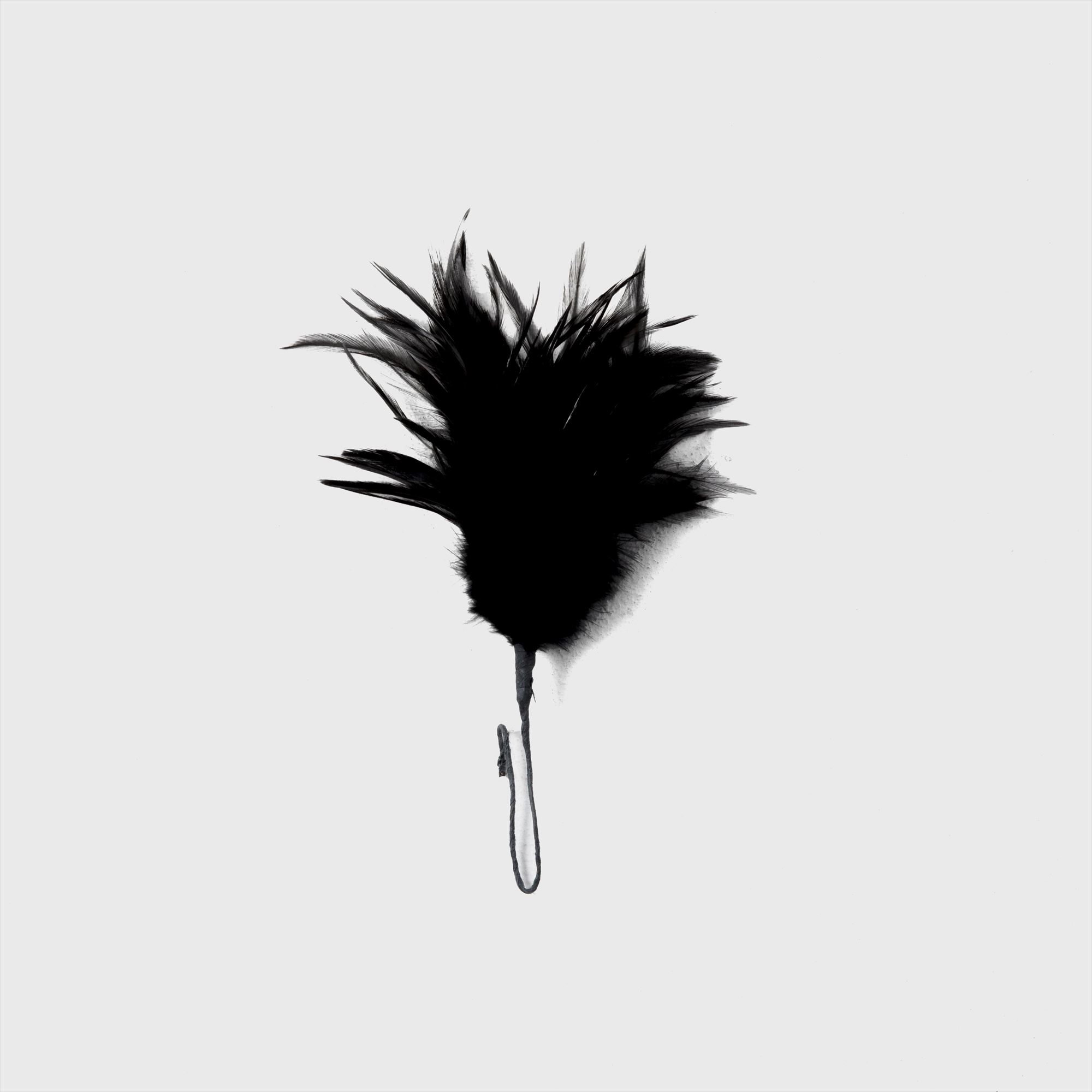 feather / black