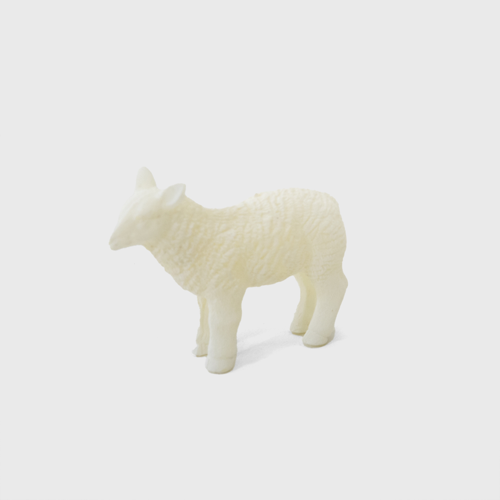 lamb candle