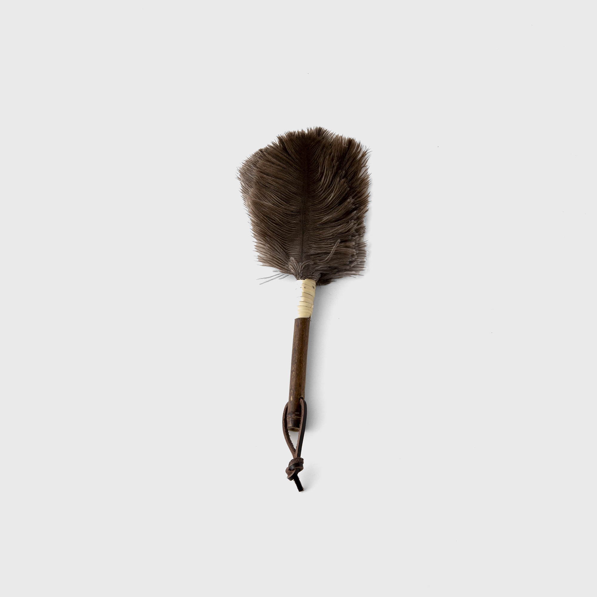 ostrich feather duster